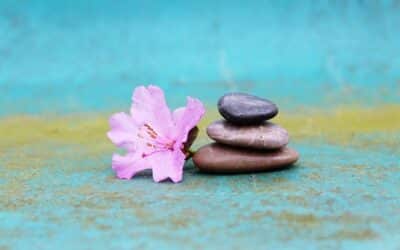 Cuerpo, mente y emoción