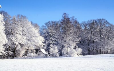Malestar físico, camino de vuelta a casa