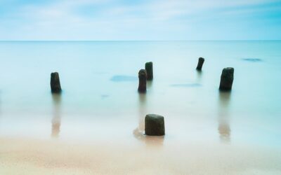 Ejercicio práctico: reconocer y aceptar partes internas