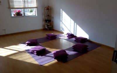 EXPERIENCIA: Acompañamiento de un grupo terapéutico